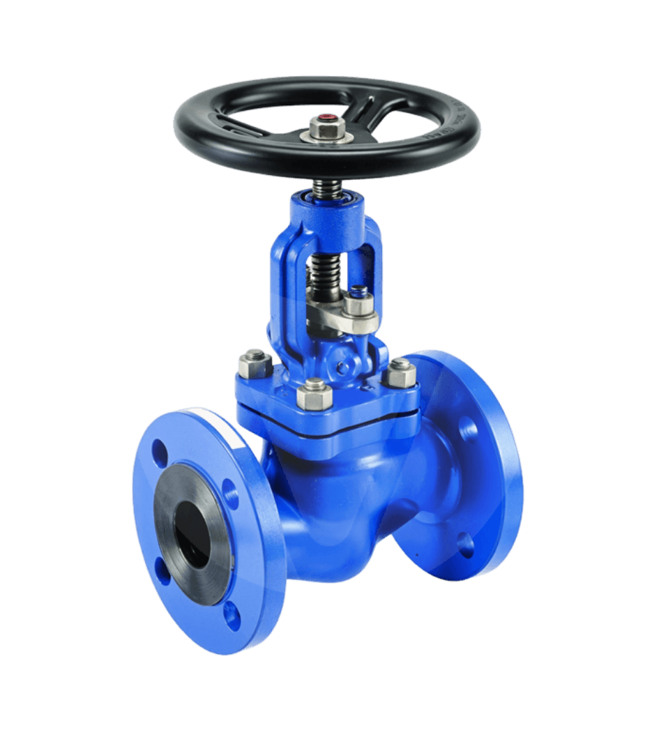 Globe Valve C3